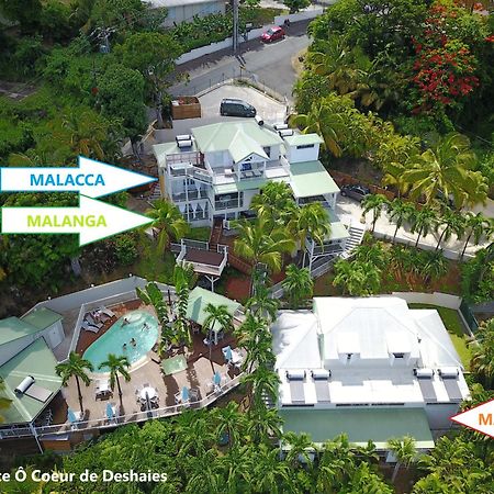 Studio Malacca, Malanga Et Majacudja - O Coeur De Deshaies Esterno foto